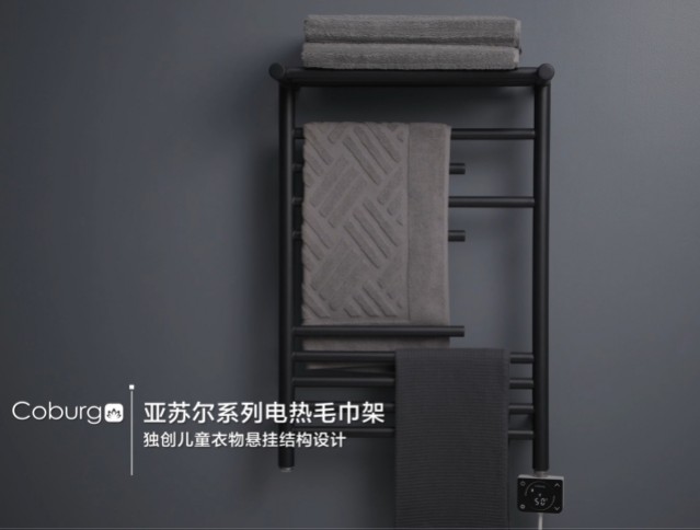 亞蘇爾系列毛巾架_x264